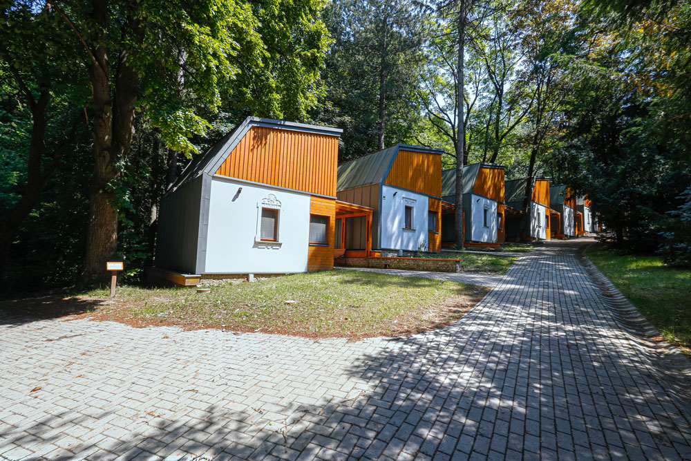 wyac 002 camp